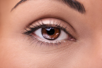 A beautiful insightful look brown woman's eye