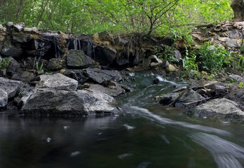 Stream in the green forest