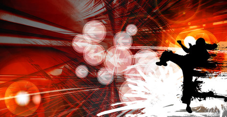 Karate warrior © zeber