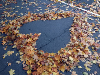 Heart from autumn maple leaves at the asphalt