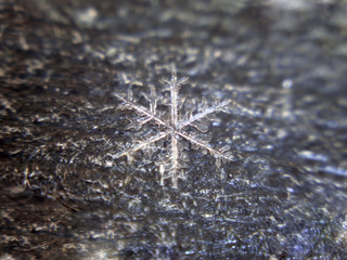 Snowflake at the asphalt in the middle