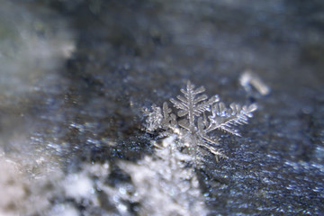 Snowflake at the asphalt