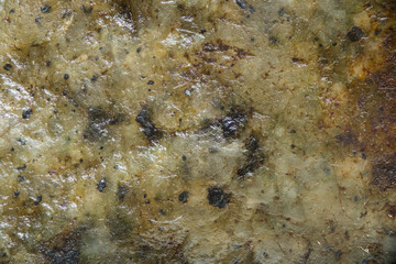 Close up texture of a wet rock as a background