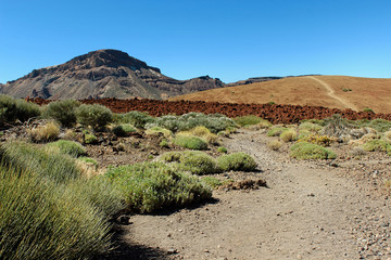 Hiking in the Teide National Park in Tenerife (Canary Islands, Spain, Europe)