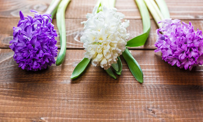 Obraz na płótnie Canvas Fresh hyacinth flowers on wooden background. Beautiful idea for greeting cards for Valentine's day, March 8 and mother's day. Free space