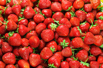 Fresh Strawberry Background