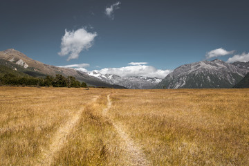 Trail going through  Waimakariri River Valley