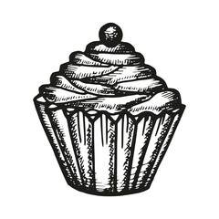 cake with berries vector sketch. illustration of dessert