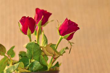 Valentine's Day red rose, Love concept with bouquet of red roses