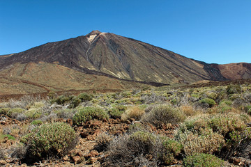Hiking in the Teide National Park in Tenerife (Canary Islands, Spain, Europe)