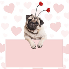 cute pug puppy dog with hearts diadem, hanging on blank pale pink promotional sign