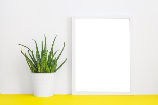 White frame mock up and houseplant.