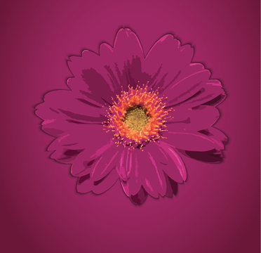Flower bloom purple background greeting card vector