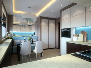 Modern elegant and luxurious kitchen