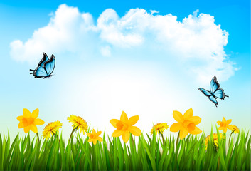 Plakat Nature background with green grass, flowers and a butterfly. Vec