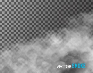 Smoke vector on transparent background. © ecco