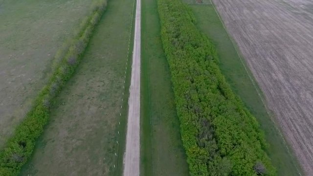 Aerial: long road and line of trees to a farmhouse in the prairies