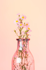 beautiful flowers background for your design with the selective