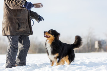 man is playing with a dog in snow