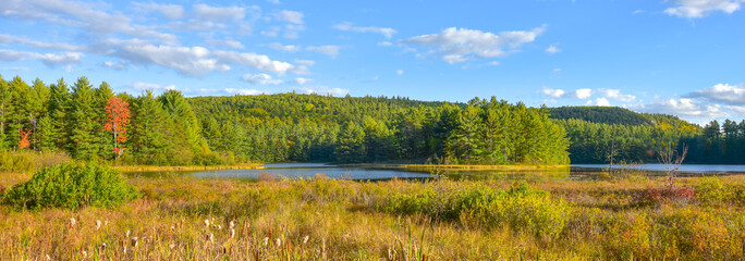 Sunny Summertime marsh wetlands mixed with boreal forest woodland wilderness as viewed from the roadside of an Ontario, Canada highway.  - 135989353