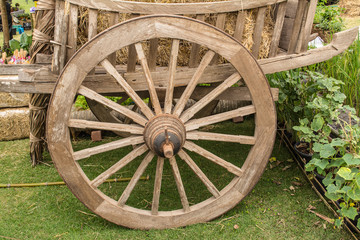 Cart for bring people or anything that can see in some area Thailand.