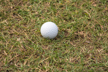 Golf ball in golf course the sport that play in the beautiful field.