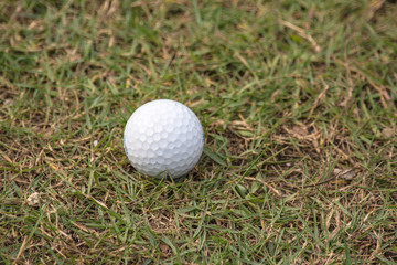Golf ball in golf course the sport that play in the beautiful field.