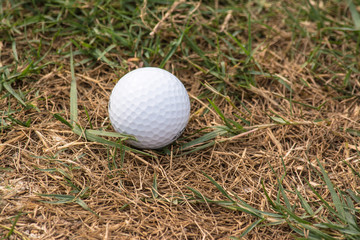 Golf ball in golf course the sport that play in the beautiful field.