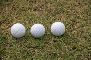 Golf ball in golf course the sport that play in the beautiful field.