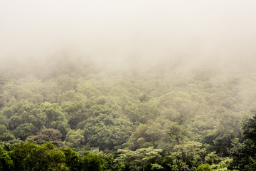 Mountains with morning mist