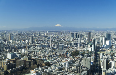 Fototapeta na wymiar 東京都市風景　昼　港区から望む　富士山　渋谷中心街　都心の街並