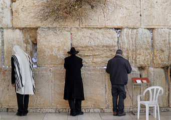 JERUSALEM - JANUARY 2017:  Jews worship at the stones of  the Western Wall, where the crevices are...