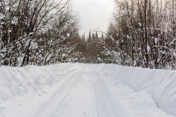 Fototapeta na wymiar The road in the wood in the winter. The snow road in the winter wood. Russia, Siberia