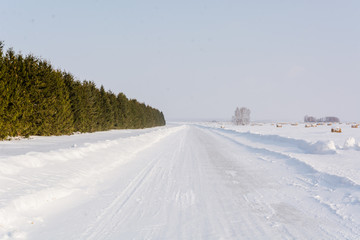 The road in the wood in the winter. The snow road in the winter wood. Russia, Siberia