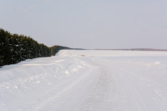 The road in the wood in the winter. The snow road in the winter wood. Russia, Siberia