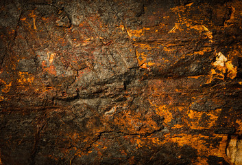 Stone texture background