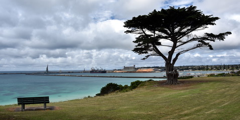 Big tree and a bench in the Vested Land Park. Portland beach, Lee breakwater and harbour in the background on a cloudy day.
