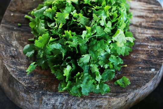 Fresh green cilantro, coriander leaves  with slice on wooden surface