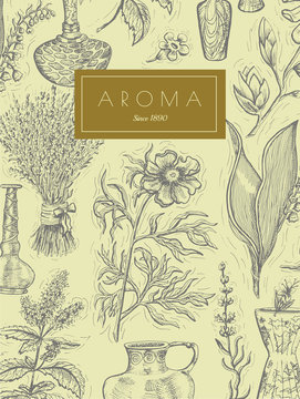 Vintage design with aromatic plants and perfume bottles