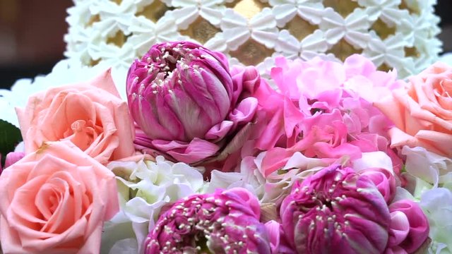 Video of Pink roses and lotuses flower bouquet valentine day background