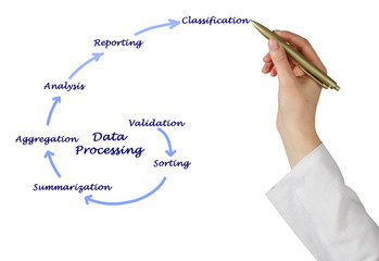 Diagram of Data Processing