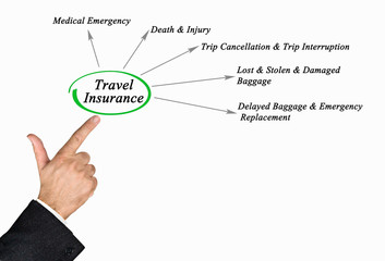 Diagram of Travel Insurance