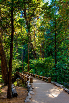 Lower Yosemite Falls Trail