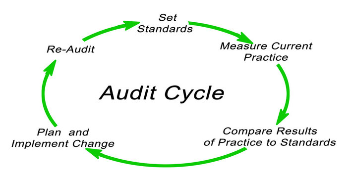 audit cycle