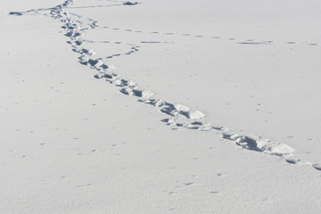 Winterladnschaft