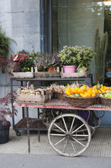 Fototapeta na wymiar Autumn harvest on a cart to shop around on the streets of a Euro