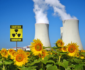 Smoke rising from cooling towers of nuclear power plant, in the foreground sunflower field.