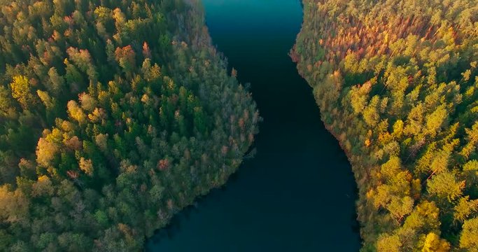 flying above autumn forest and lake