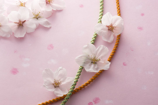 桜の花と組紐のイメージ