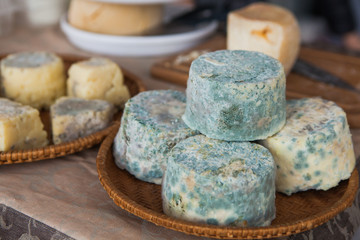 Old goat cheese with blue mold on farmer's market